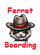 Ferret Boarding